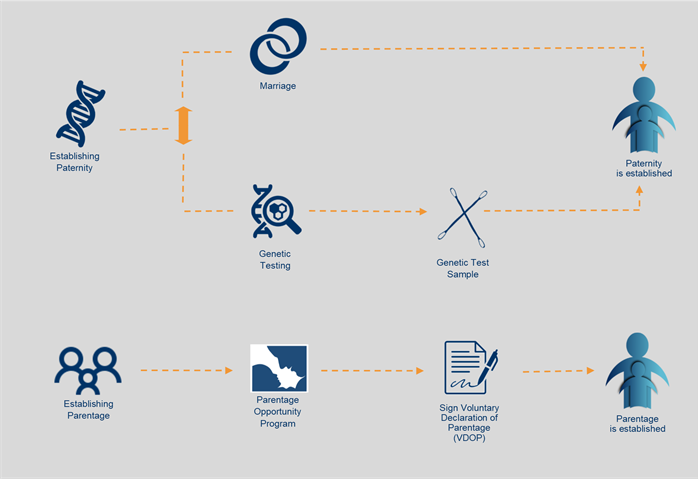 Parentage and Paternity Update